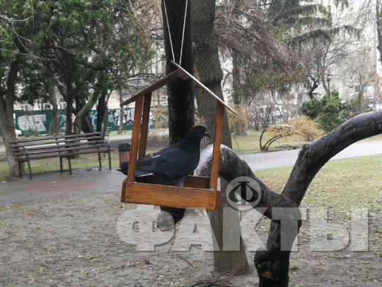 Ночные заморозки и ветер: синоптики уточнили прогноз погоды на ближайшие дни