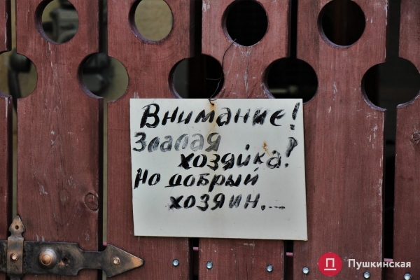 В Одессе создадут музей-квартиру Михаила Жванецкого: как двор сатирика выглядит сейчас. Фото