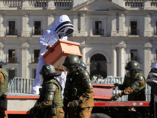 Помста комах: бджоли покусали поліцейських, які намагалися розігнати мітинг бджолярів