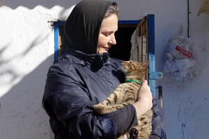 В одесском монастыре помогают котам-беженцам (фото)