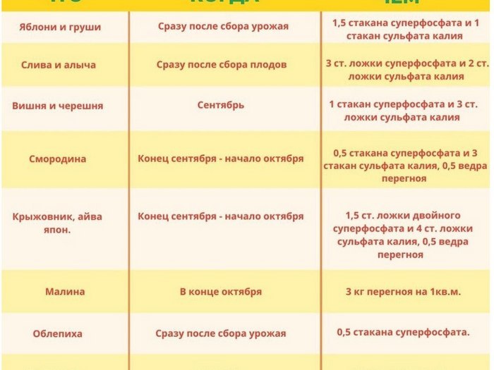 З турботою про майбутні врожаї: які рослини та чим підживлювати на дачі у вересні
