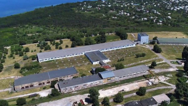 Реінкарнація Олійника: у велику політику намагається повернутись неодноразово скомпрометований діяч