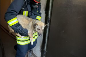На Градоначальницкой в Одессе горела квартира