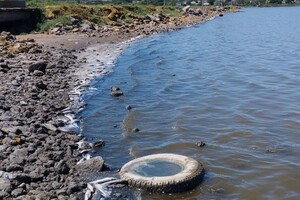 В Хаджибейском лимане в Одесской области также зафиксировали замор рыбы