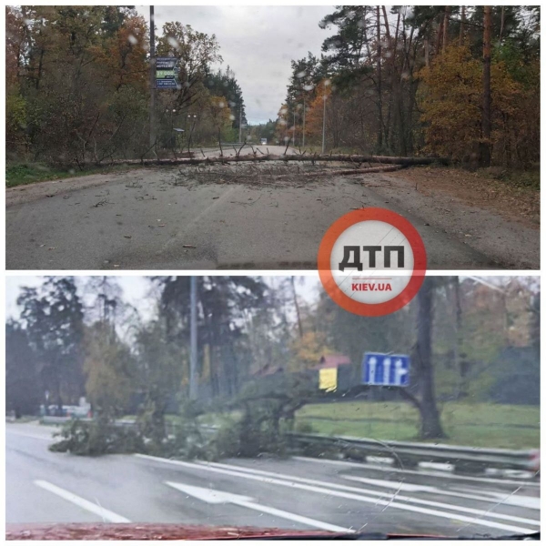 «Вітровий Армагедон» в Києві: сильний вітер вириває в столиці з коренем дерева і трощить рекламні конструкції (відео)