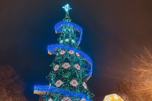 В Одессе зажгли главную новогоднюю елку города