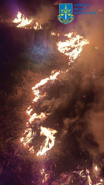 Поліція розслідує пожежу в екопарку на Осокорках у Києві як підпал, — прокуратура (фото, відео)
