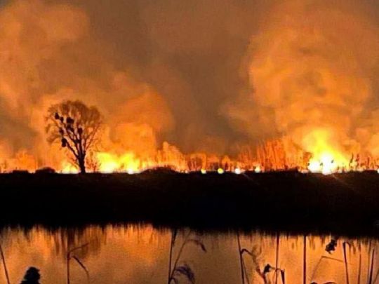 Поліція розслідує пожежу в екопарку на Осокорках у Києві як підпал, — прокуратура (фото, відео)