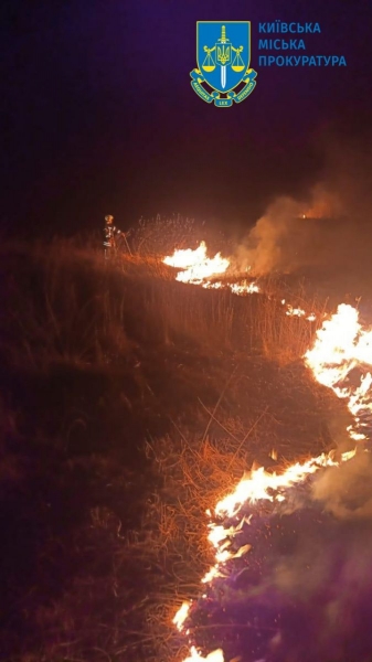 Поліція розслідує пожежу в екопарку на Осокорках у Києві як підпал, — прокуратура (фото, відео)