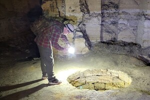 В Одессе спасли лиса из катакомб: он попал там в ловушку 