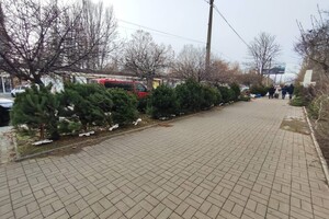 Праздник приближается: где в Одессе есть елочные базары Праздник приближается: где в Одессе есть елочные базары